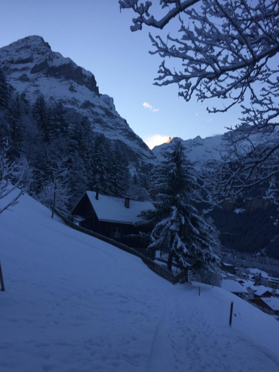 Chalet Gruenegg Grindelwald Exterior photo